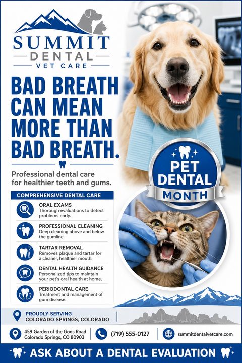 Flyer for Summit Dental Vet Care promoting Pet Dental Month. Features a golden retriever with a dental bib and a cat getting its teeth checked. Text highlights comprehensive dental care services.