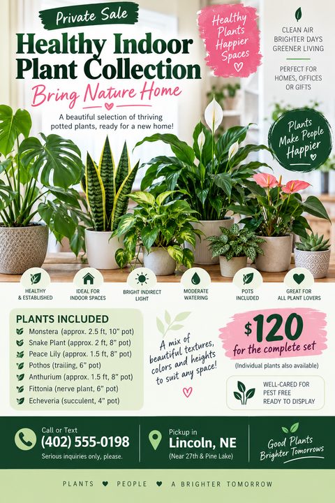 Flyer for a private sale of a healthy indoor plant collection. Features a large photo of various potted plants, a list of included plants, care icons, and a price of $120 for the set.
