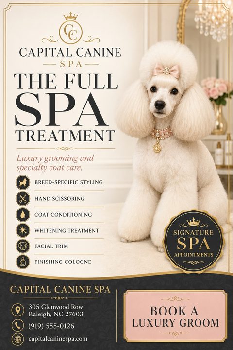 Elegant dog grooming flyer featuring a perfectly groomed white poodle with a pink bow. The design uses a cream background, gold accents, a list of spa services, and a black footer with contact details.