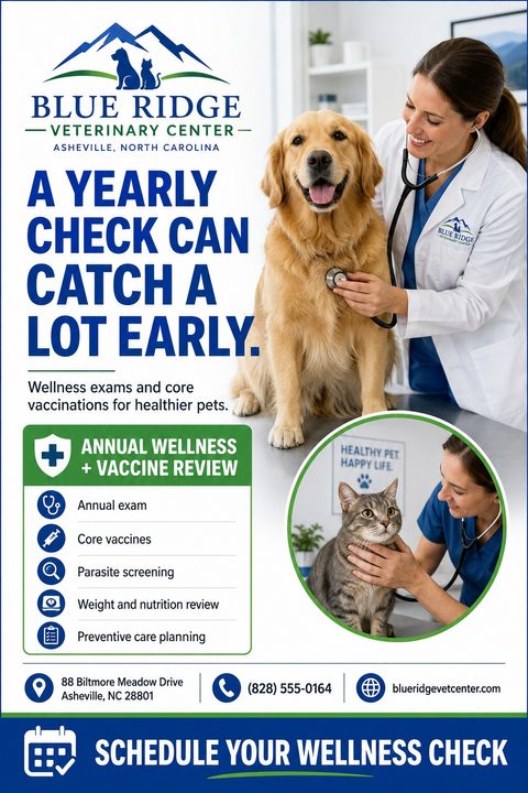 Veterinary flyer template with a large photo of a vet examining a golden retriever and a smaller circular inset of a vet with a tabby cat. Text promotes yearly checks and lists wellness services.