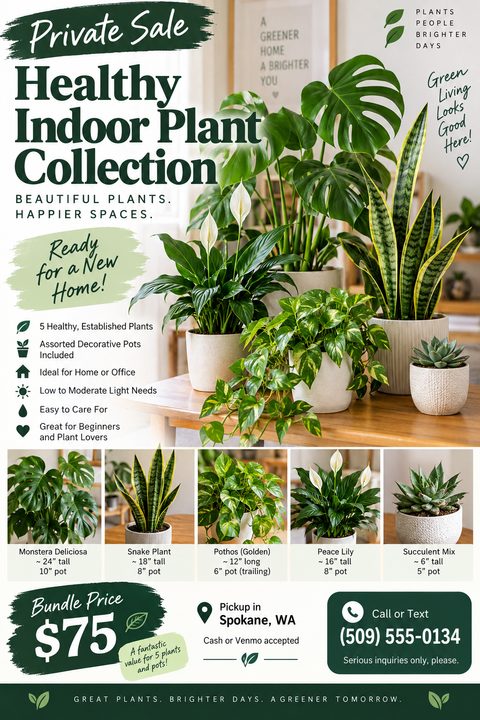 Flyer for a private sale of a healthy indoor plant collection. Features a large photo of various potted plants on a table, including a Monstera, Peace Lily, Snake Plant, Pothos, and Succulent. Below are smaller individual photos of each plant with.