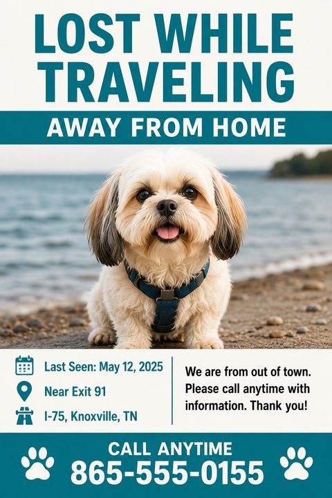 Lost pet flyer with a large photo of a small, fluffy dog on a beach. Bold teal text reads 'LOST WHILE TRAVELING AWAY FROM HOME'. Includes last seen details, a message explaining the owners are from out of town, and a large phone number at the bottom.