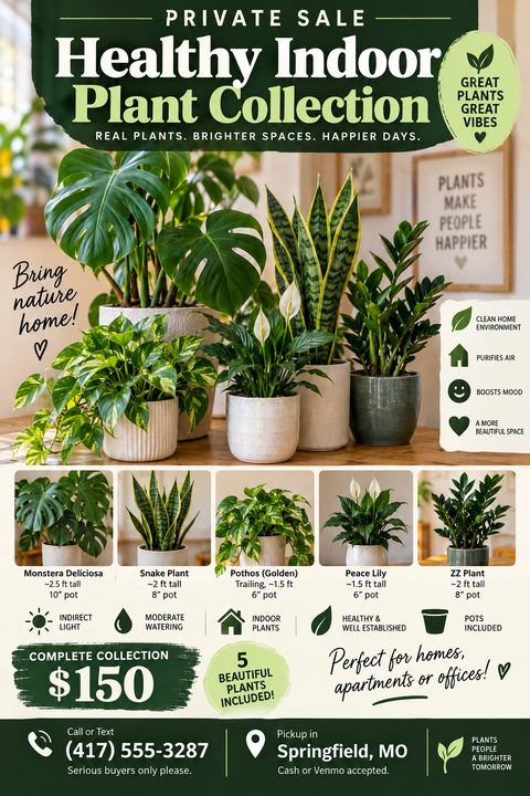 Flyer for a private sale of a healthy indoor plant collection. Features a large photo of five potted plants, individual photos of each plant with names and sizes, and a total price of $150.