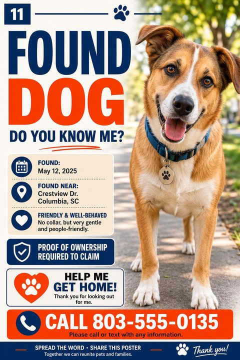 A found dog flyer with a large photo of a brown and white dog on the right. The left side has bold text 'FOUND DOG' in navy and orange, with sections for date found, location, description, and a large phone number at the bottom.