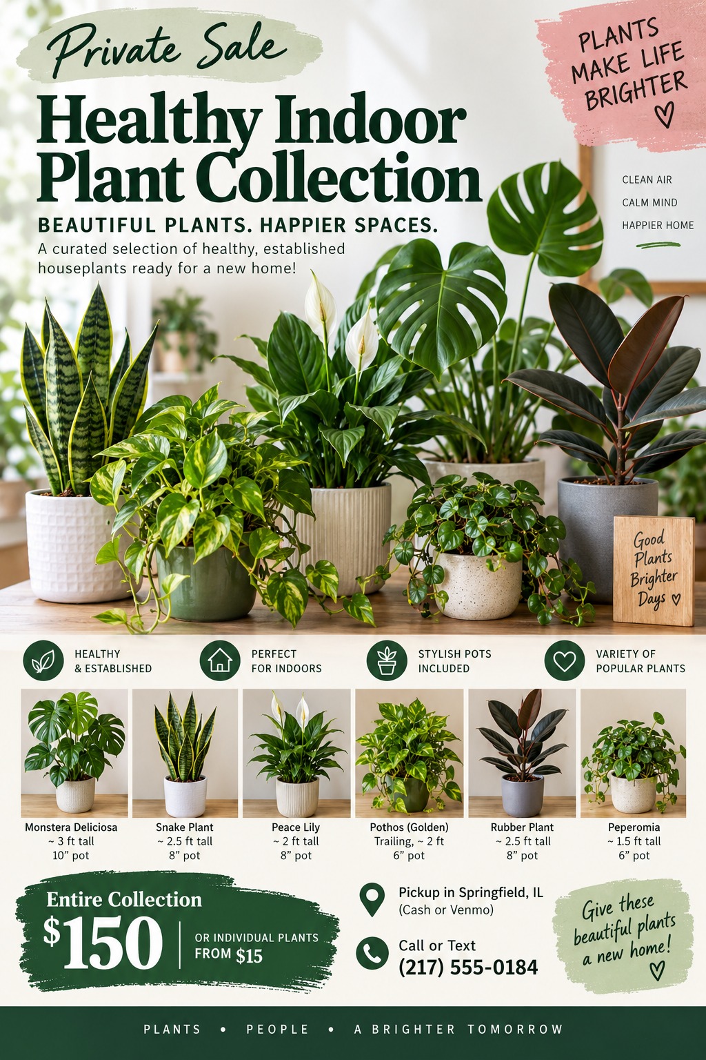 A private sale flyer for an indoor plant collection featuring a large photo of potted plants, a grid showing individual plants with details, and pricing in green brushstrokes.