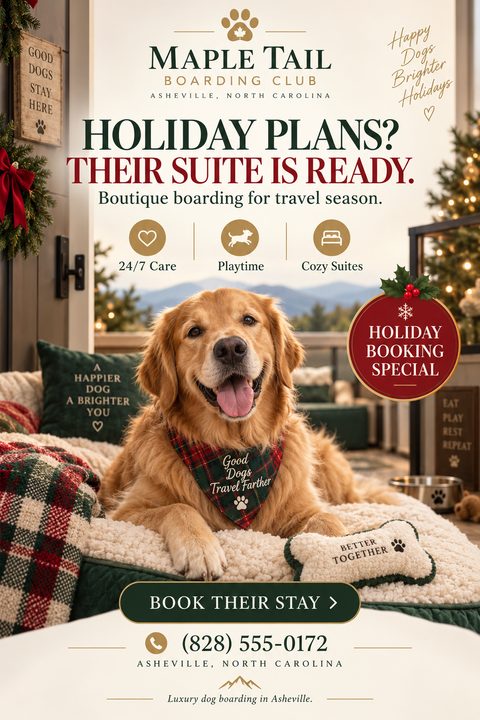 A festive flyer for a dog boarding club featuring a happy golden retriever wearing a plaid bandana, resting on a cozy bed. The design uses warm cream, deep green, and red holiday colors.