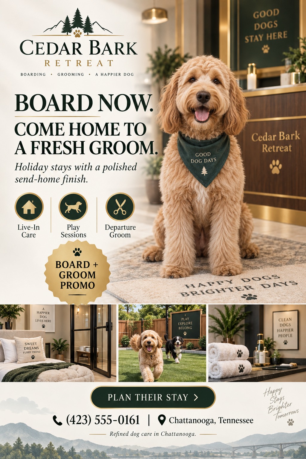 Elegant dog boarding flyer featuring a fluffy dog wearing a green bandana, with smaller inset photos of a dog bed, outdoor play area, and grooming supplies. Deep green and gold accents.