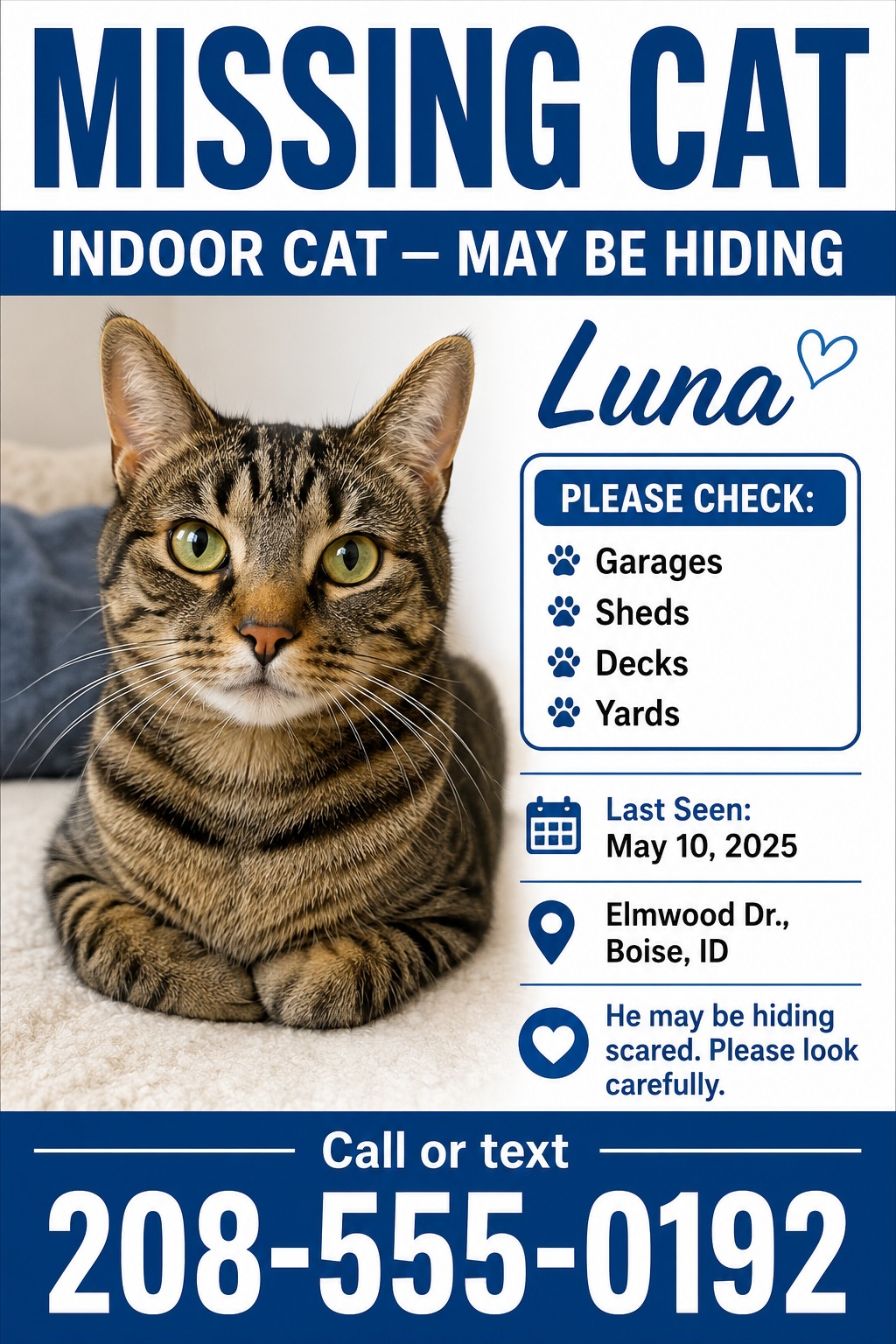 Missing cat flyer with a large photo of a tabby cat, bold blue 'MISSING CAT' headline, pet's name 'Luna', details on where to check, last seen date, location, and a large phone number at the bottom.