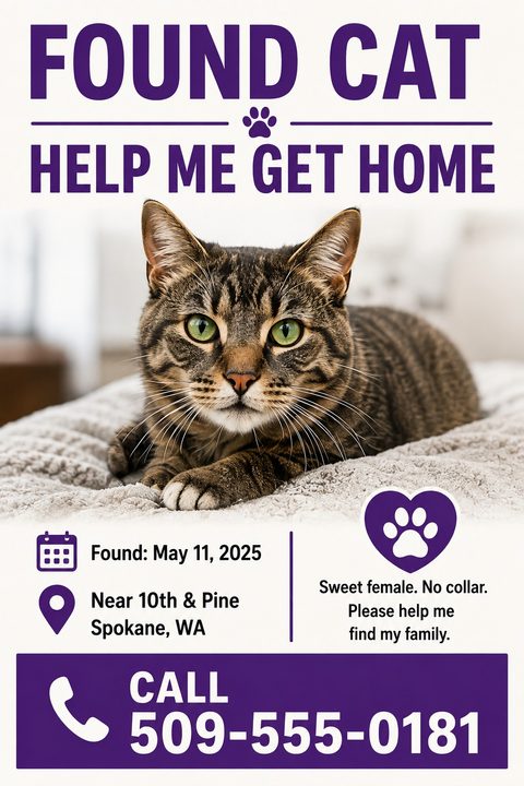 Found cat flyer template with bold purple text reading 'FOUND CAT HELP ME GET HOME'. Features a large photo of a tabby cat, date found, location, description, and a large phone number at the bottom.