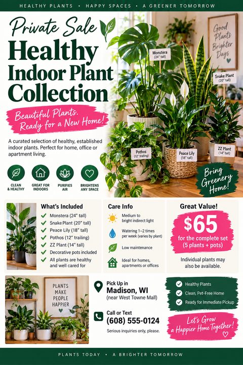 A flyer for a private sale of a healthy indoor plant collection. It features photos of various potted plants like Monstera, Snake Plant, and Peace Lily, with details on what's included, care info, price, and pickup location.