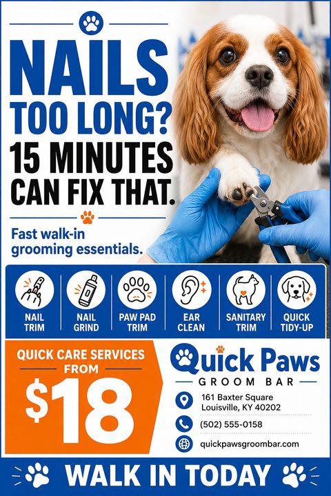 Flyer for Quick Paws Groom Bar offering fast walk-in grooming essentials like nail trims. Features a photo of a Cavalier King Charles Spaniel getting its nails clipped by a person wearing blue gloves.