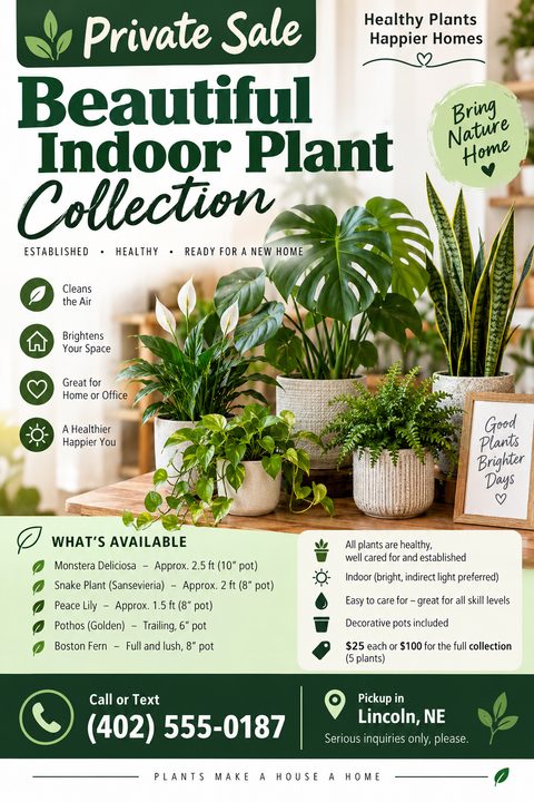 Flyer for a private sale of a beautiful indoor plant collection. Features a large photo of various potted plants like Monstera, Snake Plant, and Peace Lily on a wooden table. Includes sections for plant benefits, available plants with sizes, care.