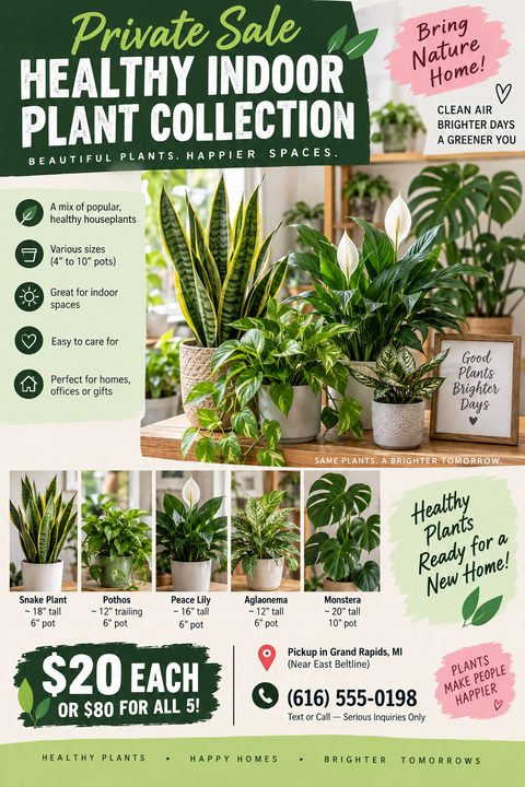 Flyer for a private sale of a healthy indoor plant collection. Features a large photo of various potted plants, a list of benefits, individual photos of a Snake Plant, Pothos, Peace Lily, Aglaonema, and Monstera with sizes and prices, and contact.