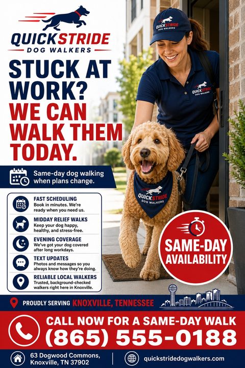 Dog walking flyer template with a photo of a woman walking a golden doodle out a front door. Text reads 'Stuck at work? We can walk them today.' with a list of services and contact info.