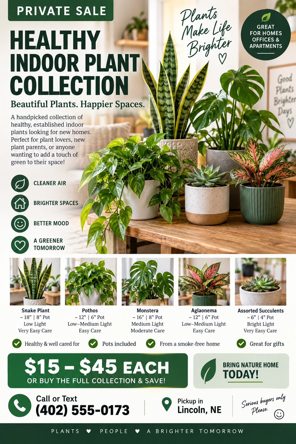 Private sale flyer for a healthy indoor plant collection. Features a large photo of various potted plants on a wooden table, followed by five smaller photos of individual plants (Snake Plant, Pothos, Monstera, Aglaonema, Succulents) with their sizes.