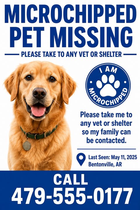 A missing pet flyer with bold blue text reading 'MICROCHIPPED PET MISSING'. It features a large photo of a Golden Retriever, a 'I AM MICROCHIPPED' badge, last seen details, and a large phone number at the bottom.