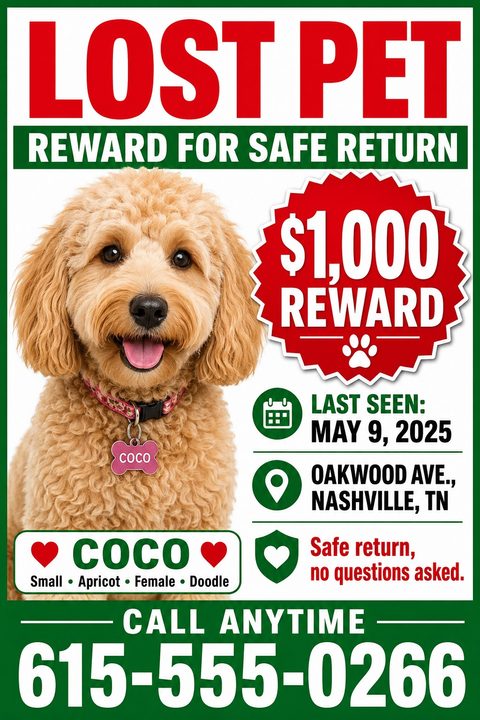 A bold lost pet flyer featuring a large red headline, a prominent red starburst reward badge, green banners for contact info, and a central photo of a fluffy dog.