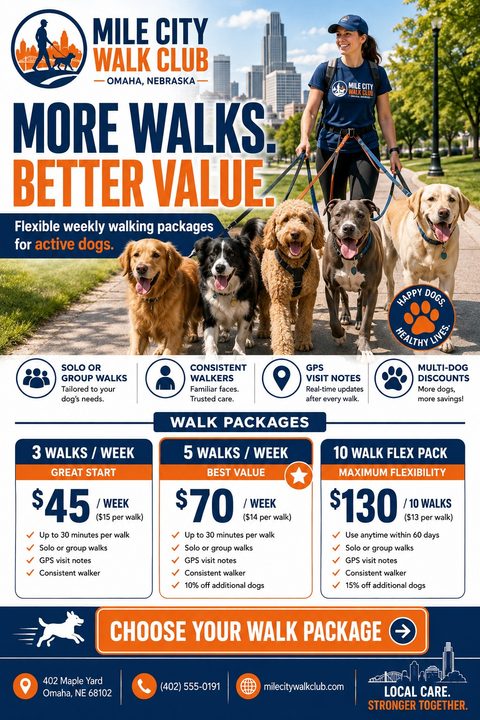 Flyer for a dog walking club featuring a woman walking five dogs in a park, with a pricing table for walk packages below.