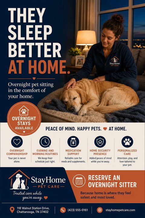 Flyer for overnight pet sitting services. Top half shows a woman petting a sleeping golden retriever on a dog bed at night. Text reads 'They sleep better at home. Overnight pet sitting in the comfort of your home.' Bottom half lists services with.